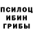 Галлюциногенные грибы Cubensis Yak Garibacha