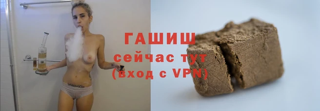 стаф Тавда