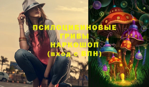 гашик Володарск