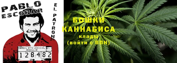 стаф Тавда