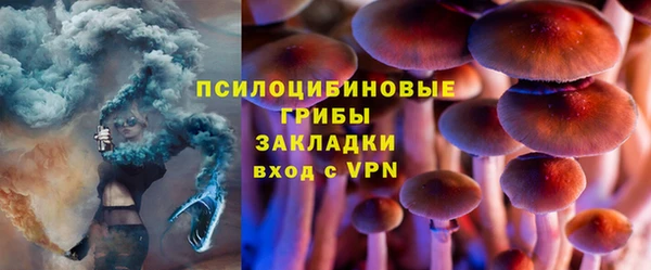 гашик Володарск
